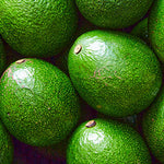Avocado Reed Biologico Siciliano – Vulcano Box | Frutta Bio Fresca di Stagione