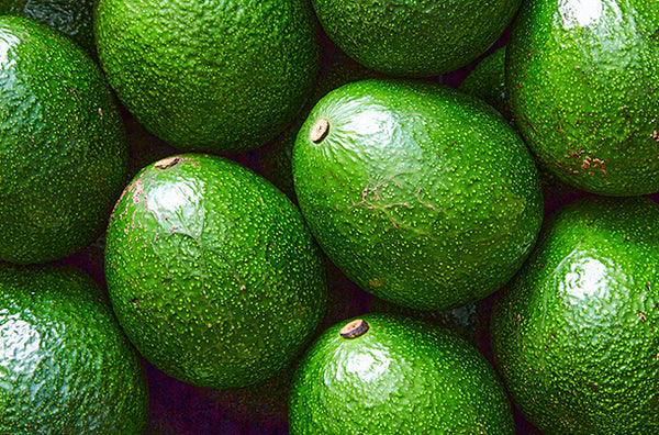 Avocado Reed Biologico Siciliano – Vulcano Box | Frutta Bio Fresca di Stagione