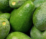 Avocado Fuerte Biologici - Vulcano Box